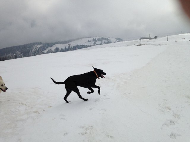 col de Senmoz (32)